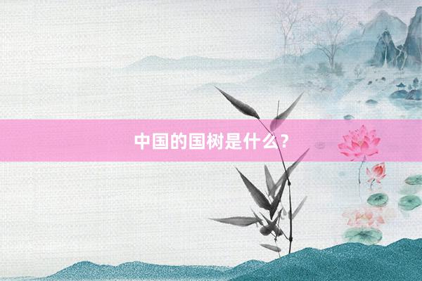 中国的国树是什么？