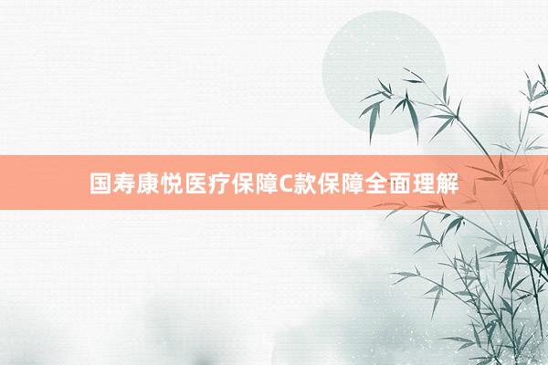 国寿康悦医疗保障C款保障全面理解